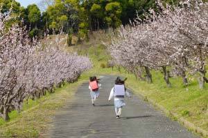 新しい季節の訪れに向けて