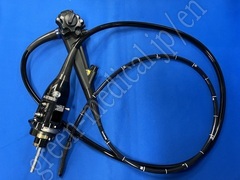 Video Gastroscope