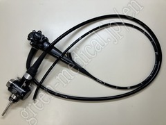 Video Gastroscope