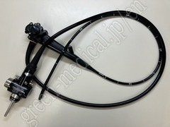 Video Gastroscope