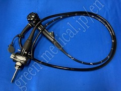 Video Gastroscope