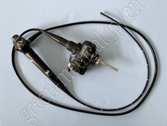 Video Bronchoscope