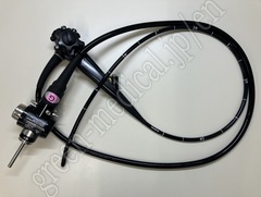 Video Gastroscope