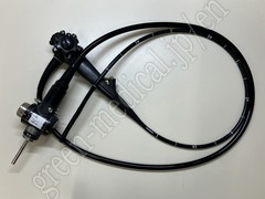 Video Gastroscope