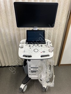 Diagnostic Ultrasound System