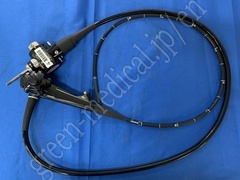 Video Gastroscope