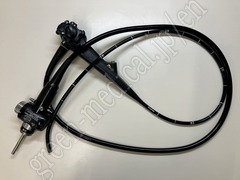 Video Gastroscope