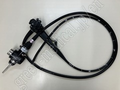Video Gastroscope