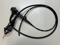 Video Gastroscope