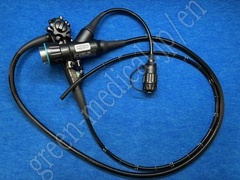 Video Gastroscope