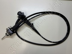 Video Gastroscope