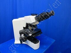 OLYMPUS Microscope