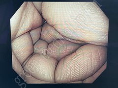 OLYMPUS High Definition LCD monitor