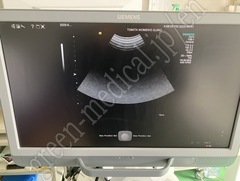 SIEMENS Color Doppler Ultrasound