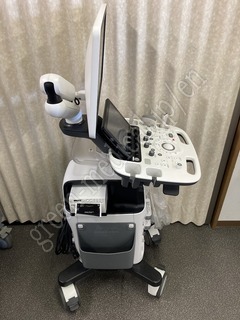 SAMSUNG MEDISON CO.,LTD Diagnostic Ultrasound System