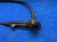 OLYMPUS Video Transnasal Gastroscope