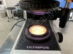OLYMPUS 