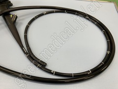 OLYMPUS Video Gastroscope