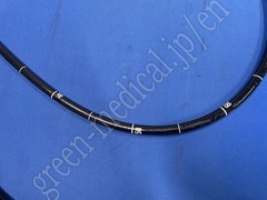 OLYMPUS Video Gastroscope