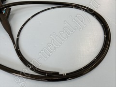 OLYMPUS Video Gastroscope