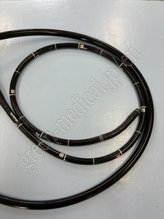 OLYMPUS Video Gastroscope
