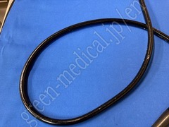 OLYMPUS Video Gastroscope