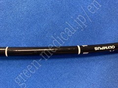 OLYMPUS Video Gastroscope