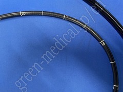 OLYMPUS Video Gastroscope