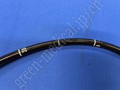 OLYMPUS Video Gastroscope