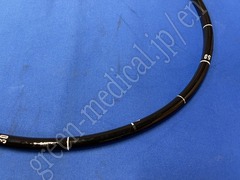 OLYMPUS Video Gastroscope