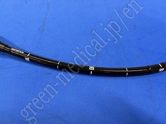 OLYMPUS Video Gastroscope