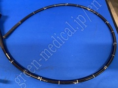 OLYMPUS Video Gastroscope