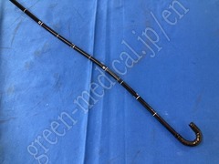 OLYMPUS Video Gastroscope