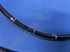 OLYMPUS Video Gastroscope