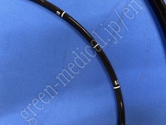 OLYMPUS Video Gastroscope