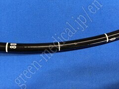 OLYMPUS Video Gastroscope