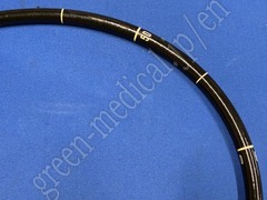 OLYMPUS Video Gastroscope