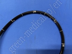 OLYMPUS Video Gastroscope