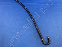 OLYMPUS Video Gastroscope