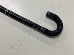 OLYMPUS Video Gastroscope