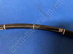 OLYMPUS Video Gastroscope