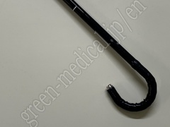 OLYMPUS Video Gastroscope