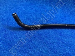 OLYMPUS Video Gastroscope