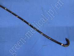 OLYMPUS Video Gastroscope