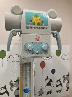 SHIMADZU 