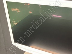 SONY Medical Grade LCD Monitor