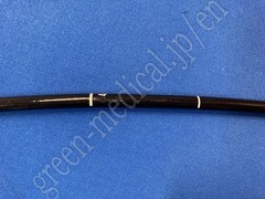 OLYMPUS Video Gastroscope