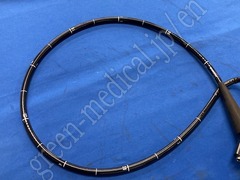 OLYMPUS Video Gastroscope