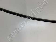 OLYMPUS Video Gastroscope