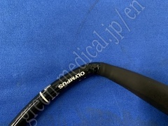 OLYMPUS Video Gastroscope